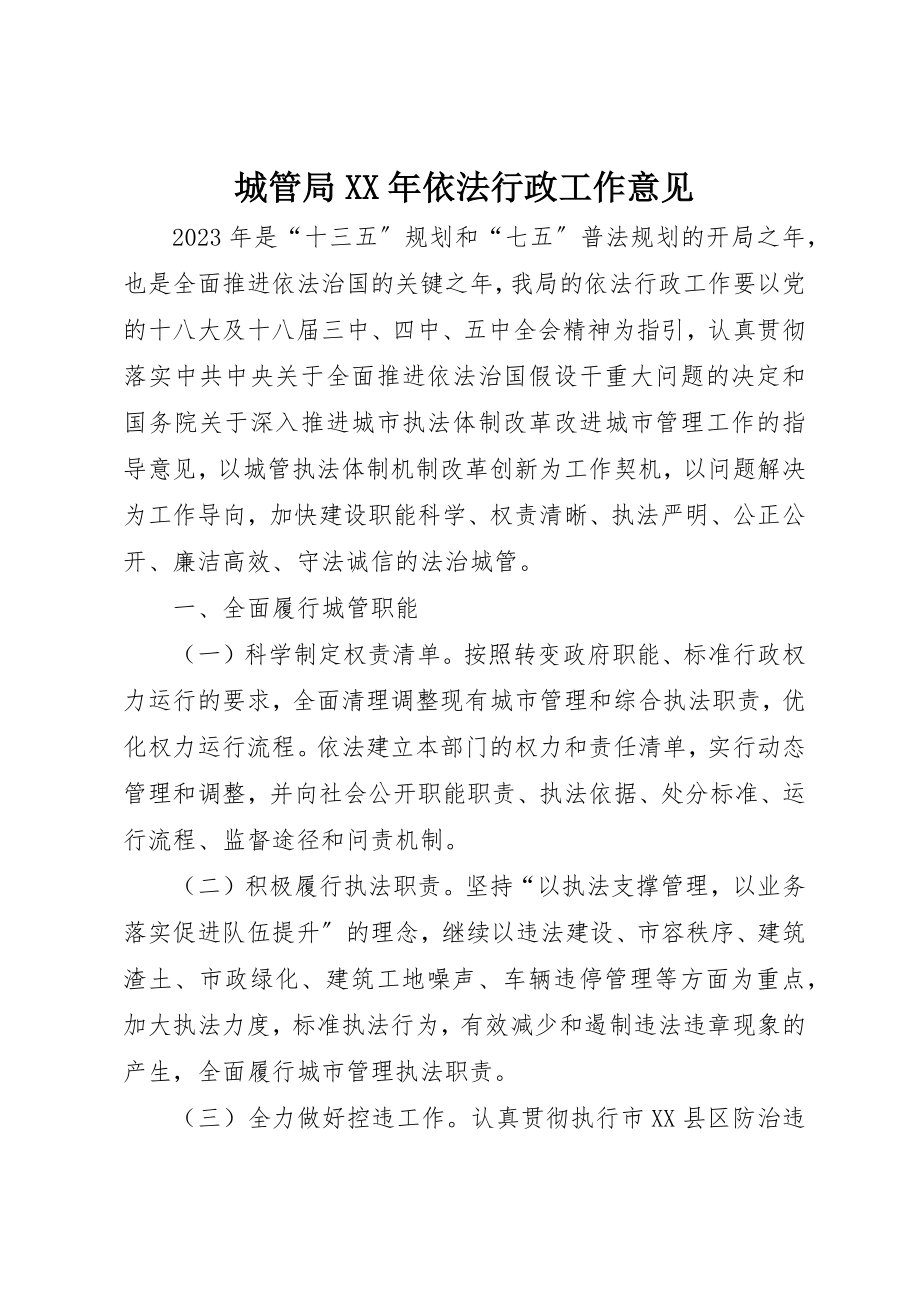 2023年城管局某年依法行政工作意见.docx_第1页