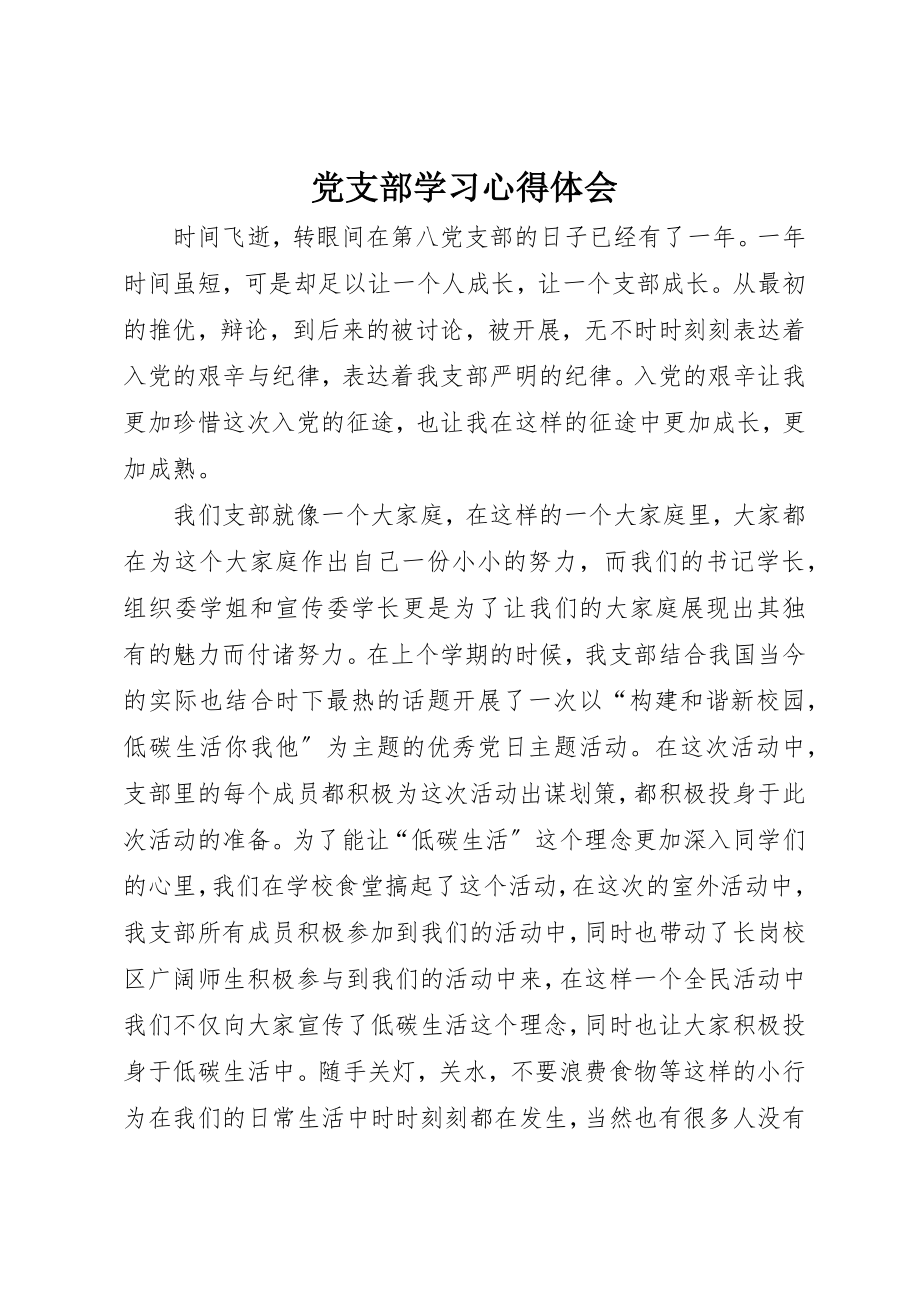 2023年党支部学习心得体会.docx_第1页