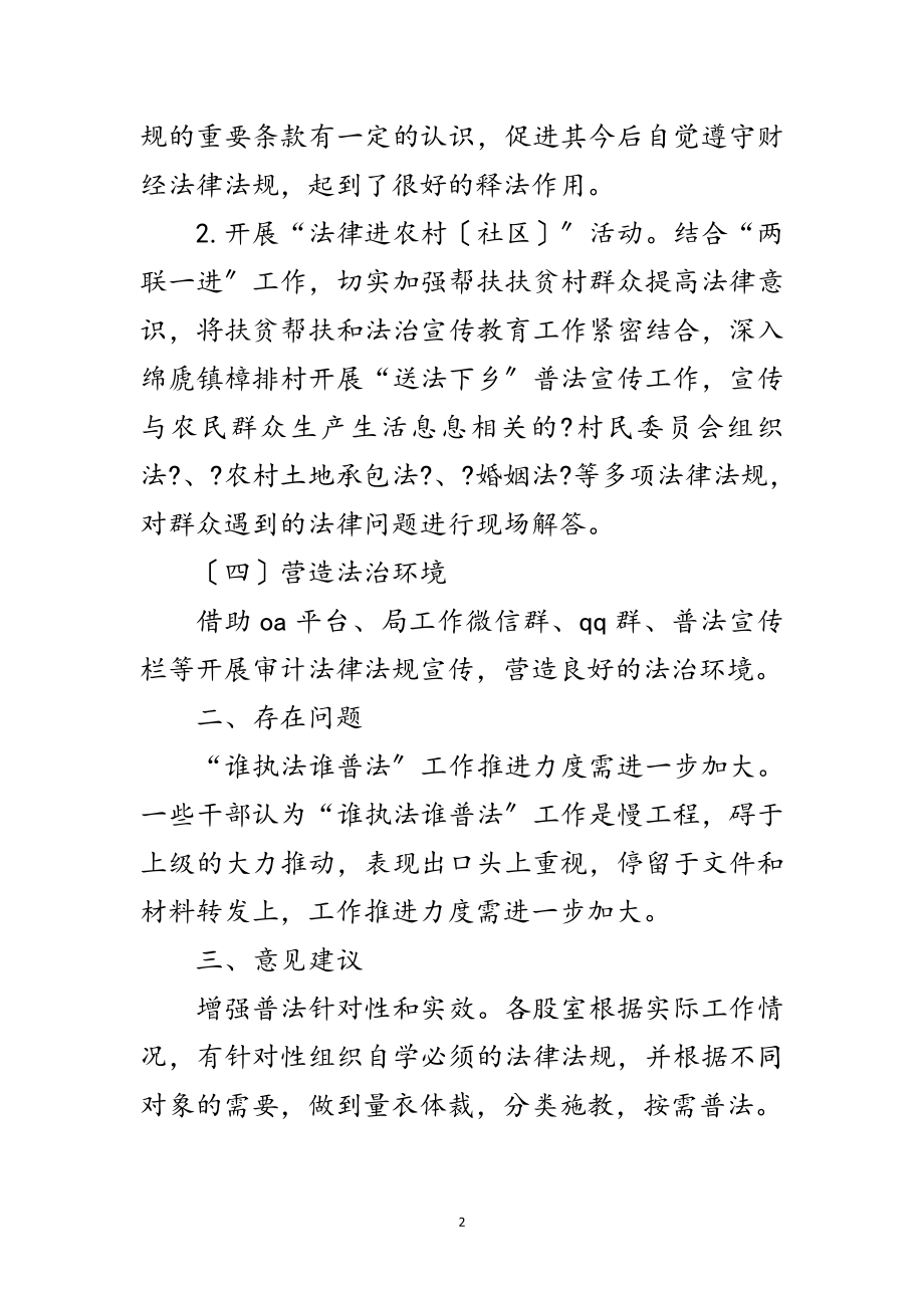 2023年审计局普法依法治理半年工作总结范文.doc_第2页