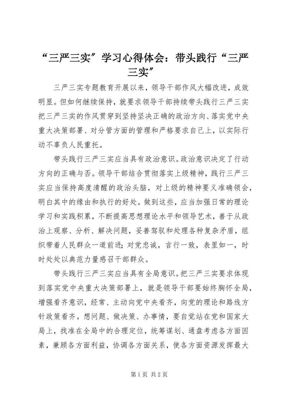 2023年三严三实学习心得体会带头践行三严三实.docx_第1页