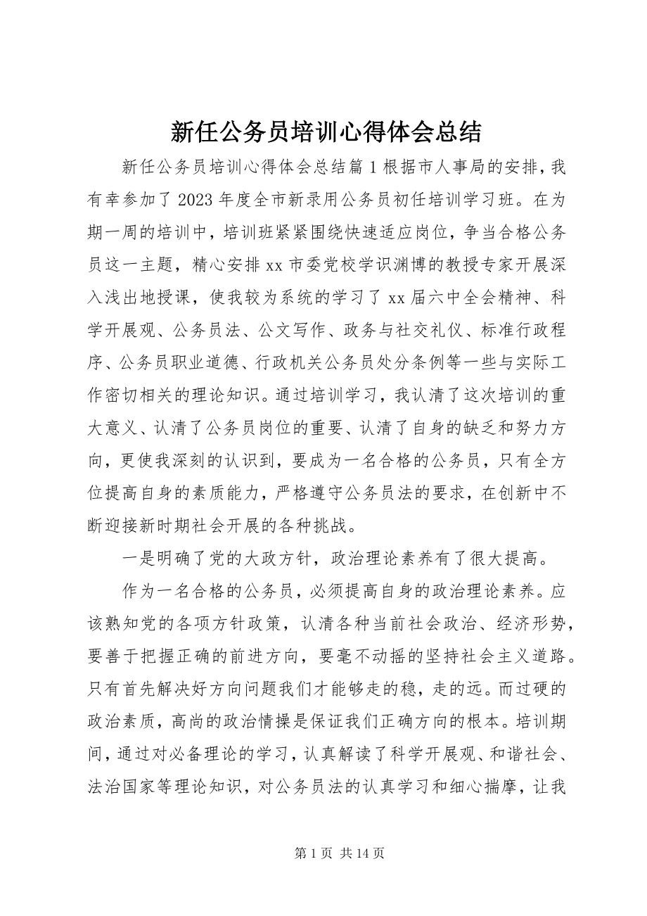 2023年新任公务员培训心得体会总结.docx_第1页