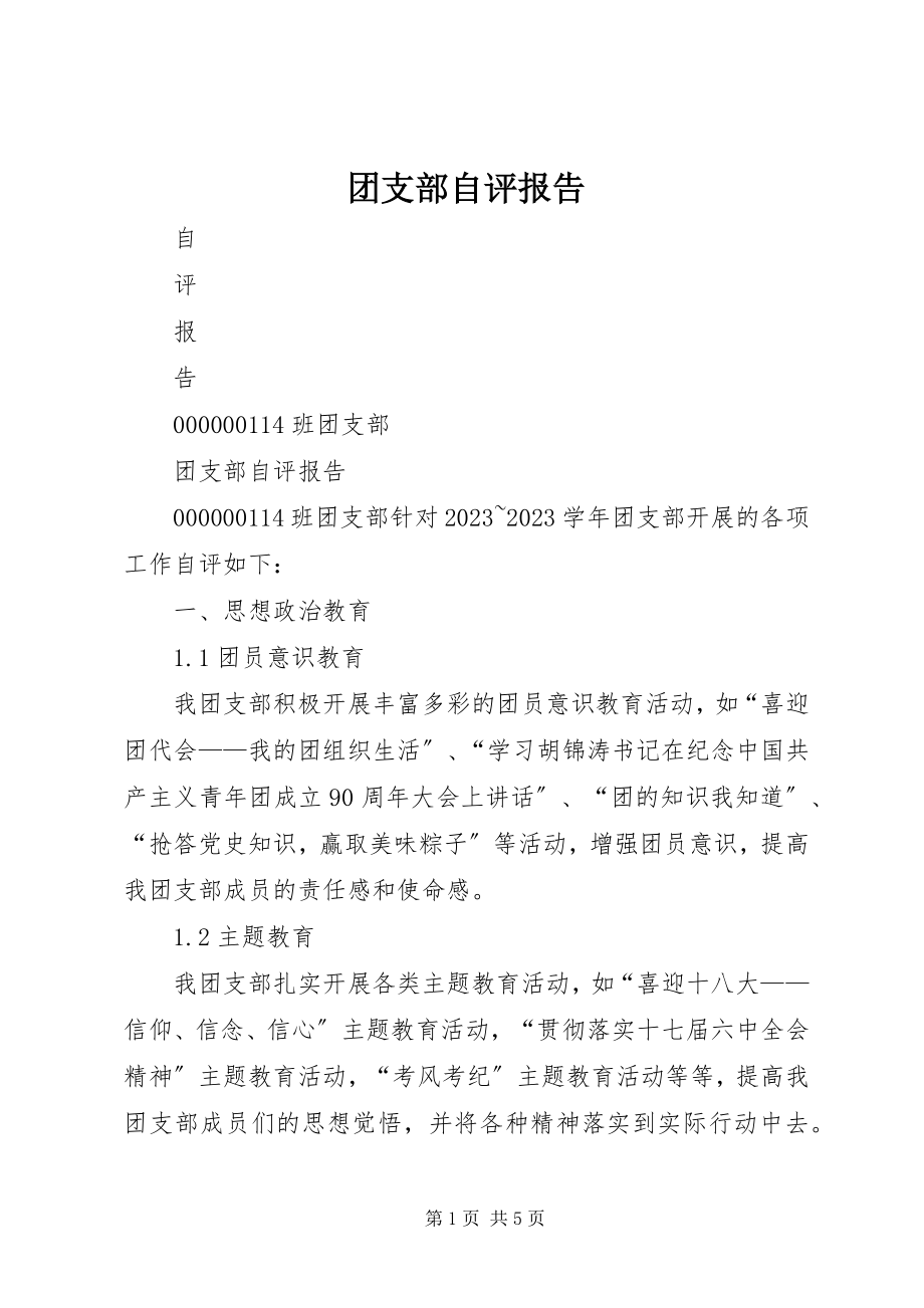 2023年团支部自评报告.docx_第1页