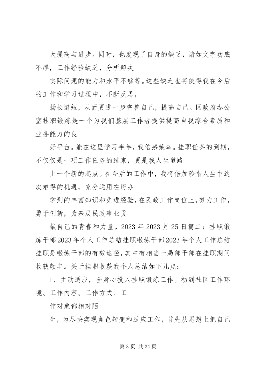 2023年区政府办公室挂职锻炼工作总结.docx_第3页