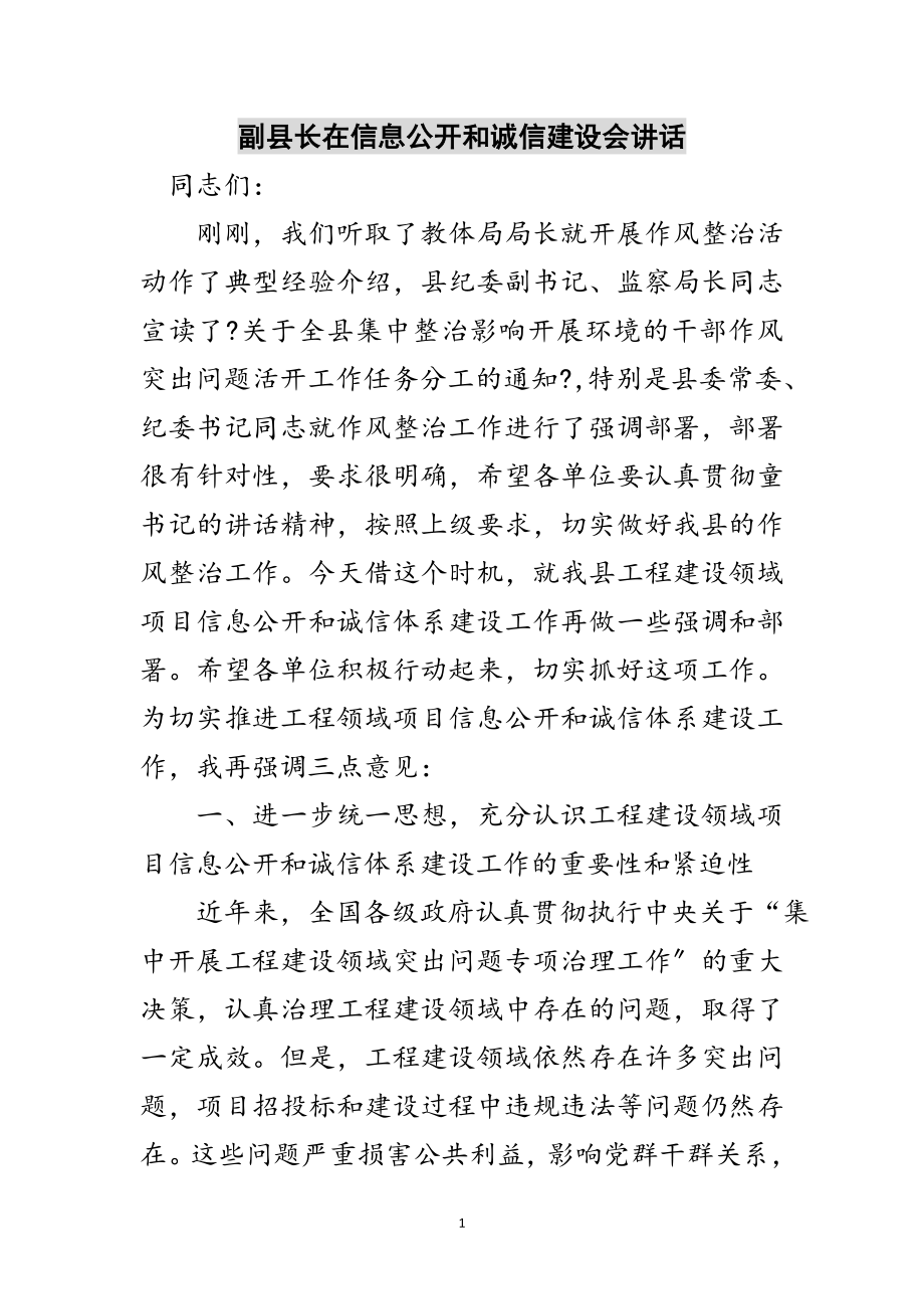 2023年副县长在信息公开和诚信建设会讲话范文.doc_第1页