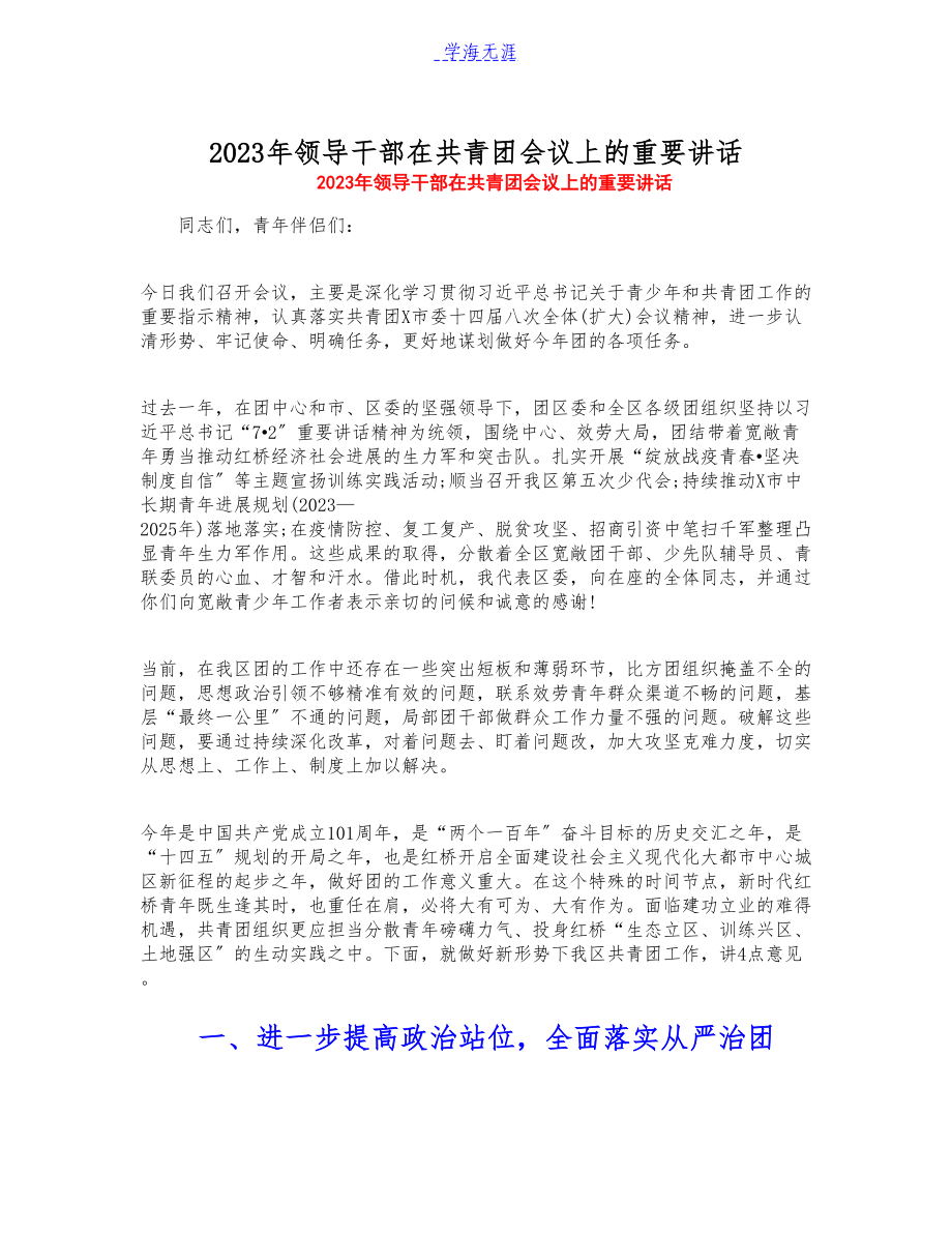 2023年领导干部在共青团会议上的重要讲话.docx_第1页