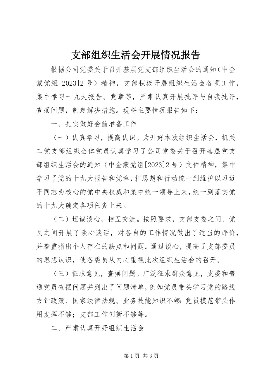 2023年支部组织生活会开展情况报告.docx_第1页