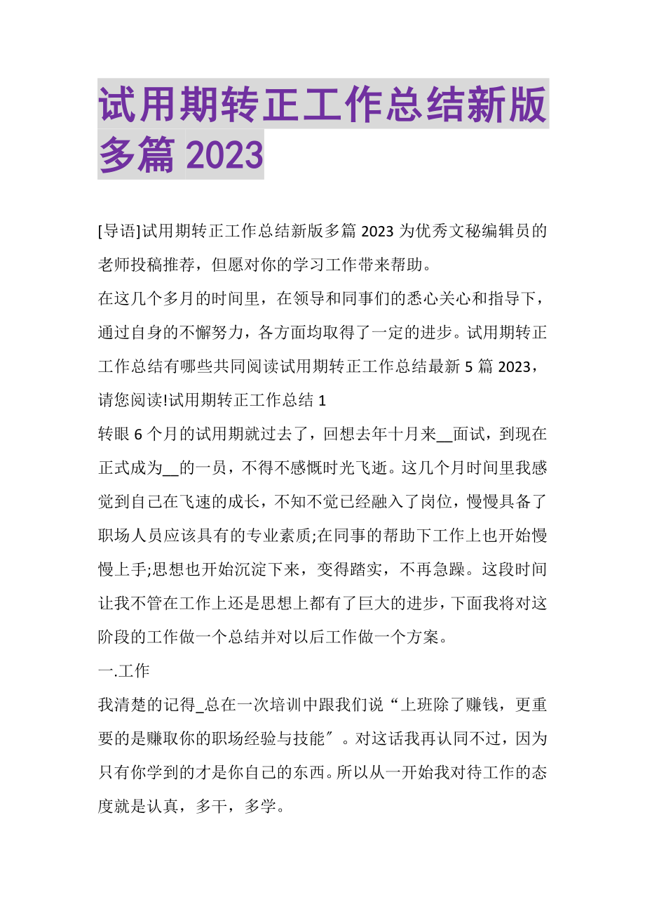 2023年试用期转正工作总结新版多篇.doc_第1页