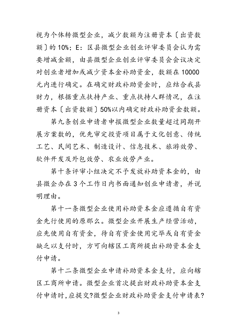 2023年微型企业补助资金规范制度范文.doc_第3页