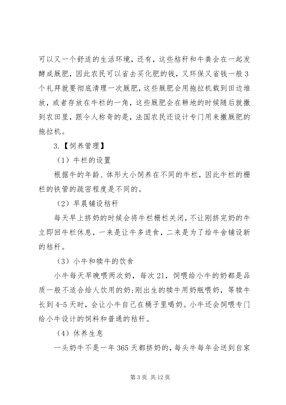 2023年奶牛场实习报告.docx_第3页