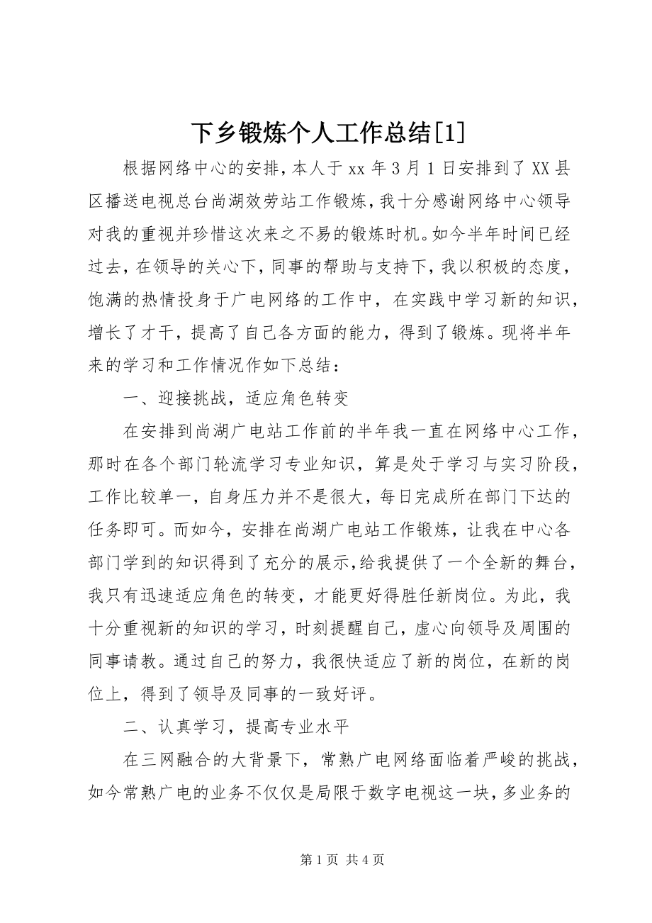 2023年下乡锻炼个人工作总结1.docx_第1页