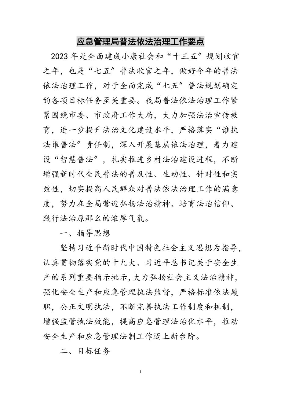 2023年应急管理局普法依法治理工作要点范文.doc_第1页