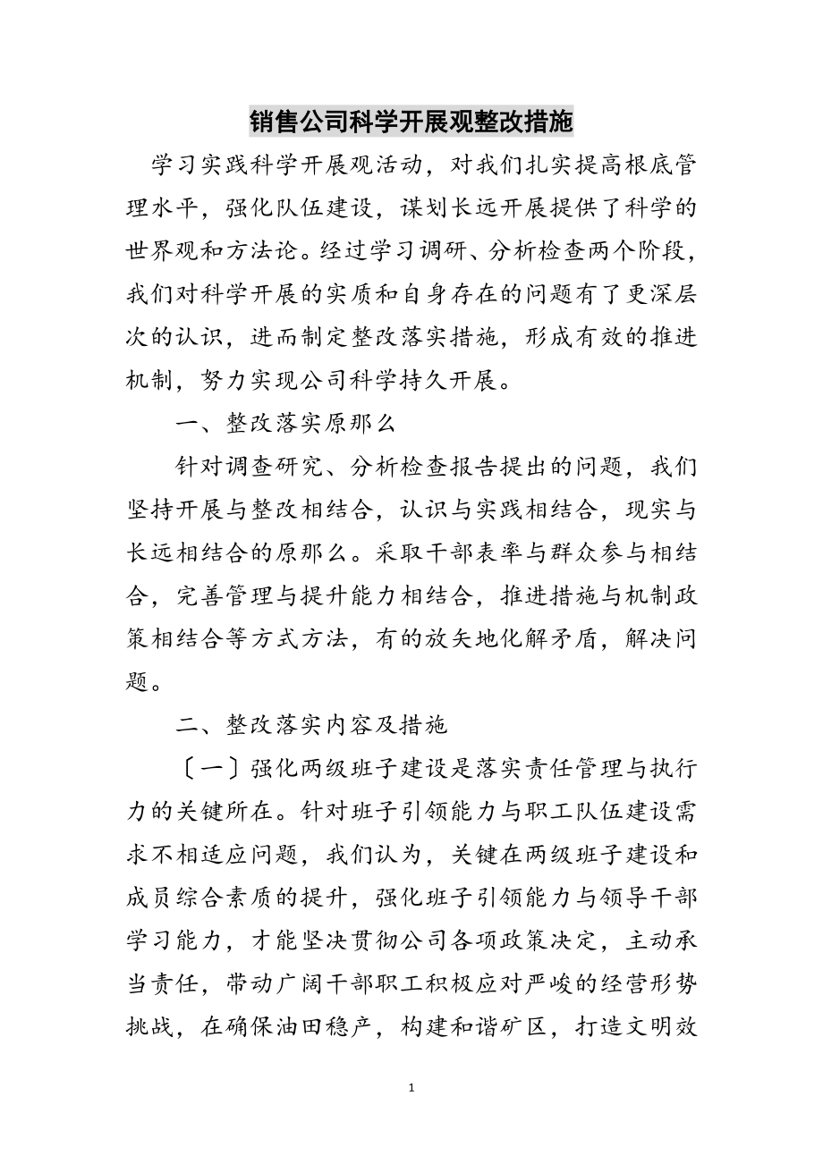 2023年销售公司科学发展观整改措施范文.doc_第1页