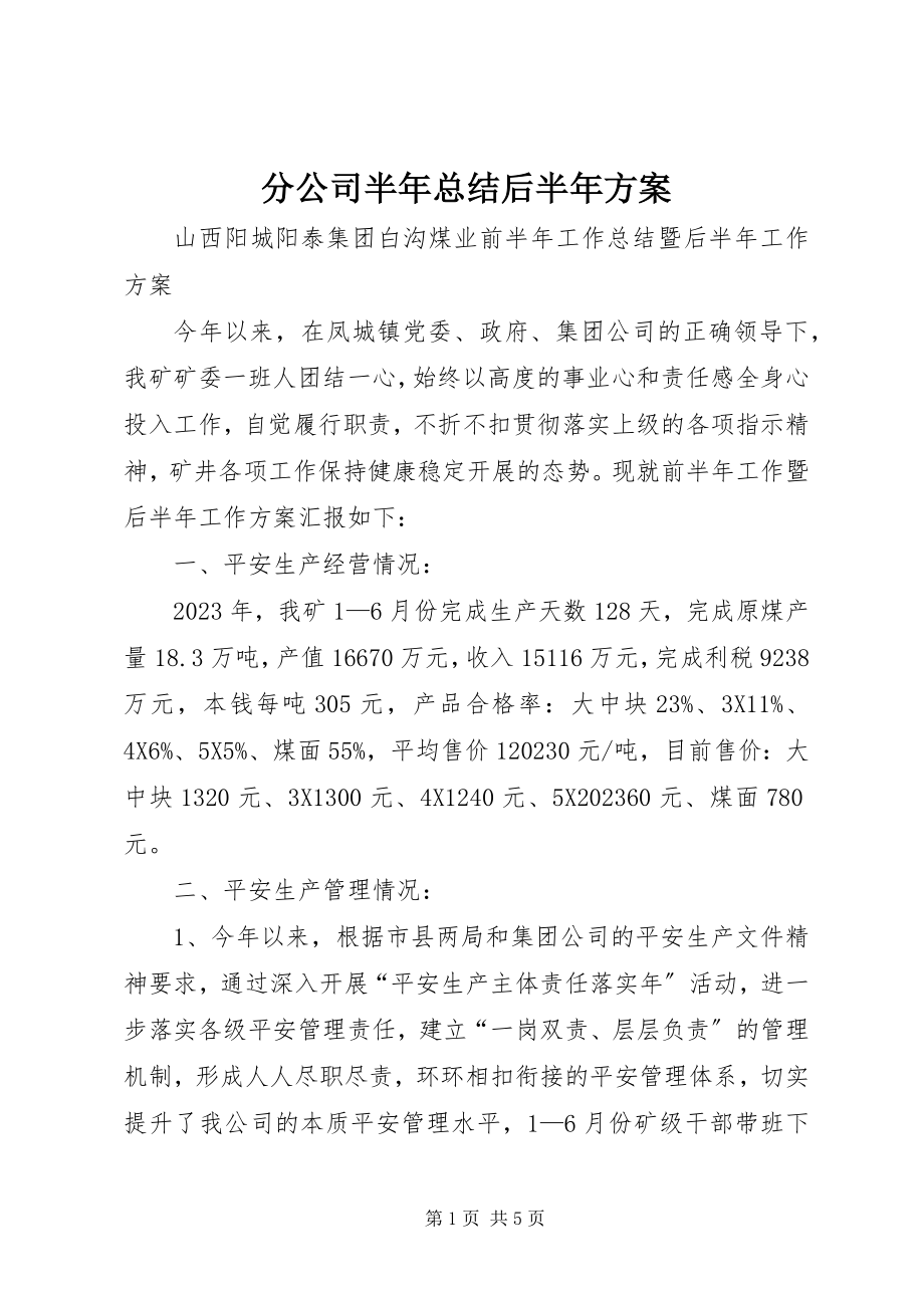 2023年分公司半年总结后半年计划.docx_第1页