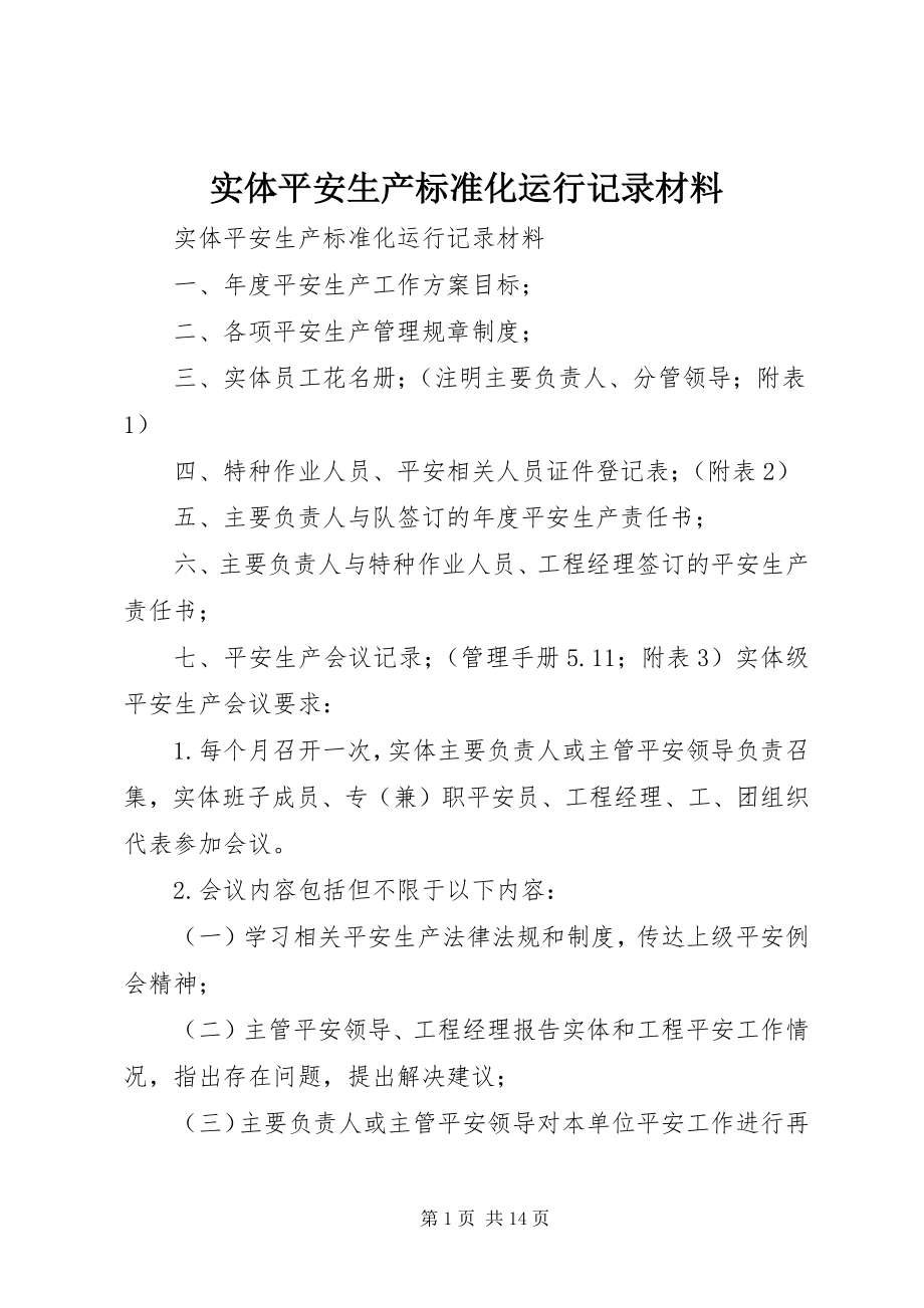 2023年实体安全生产标准化运行记录材料.docx_第1页