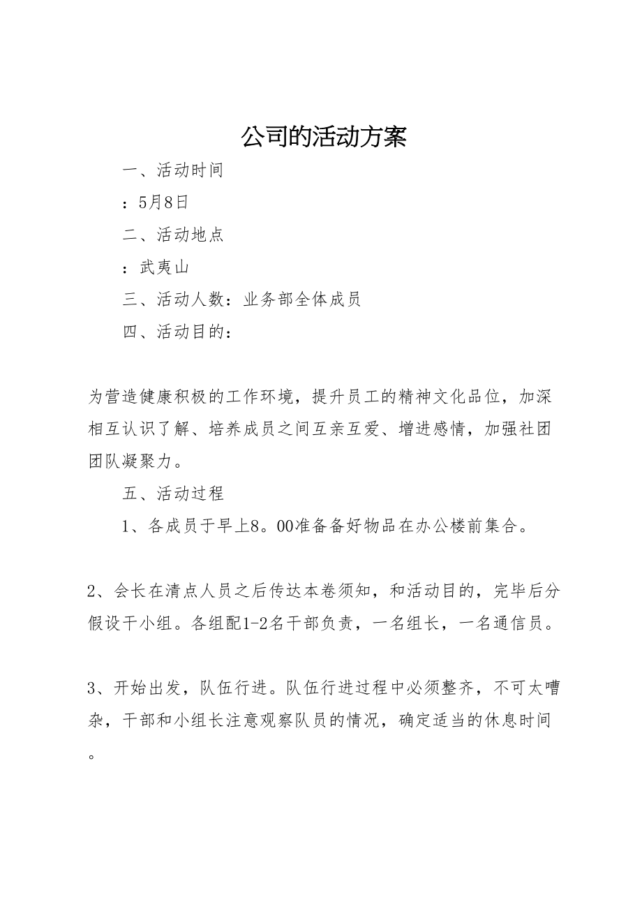 2023年公司的活动方案.doc_第1页