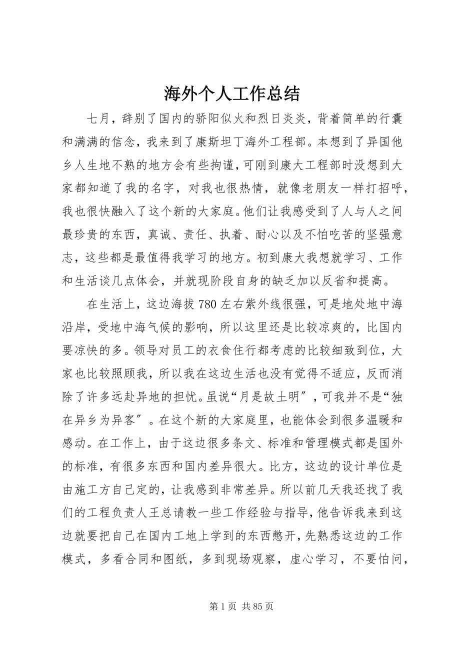 2023年海外个人工作总结.docx_第1页