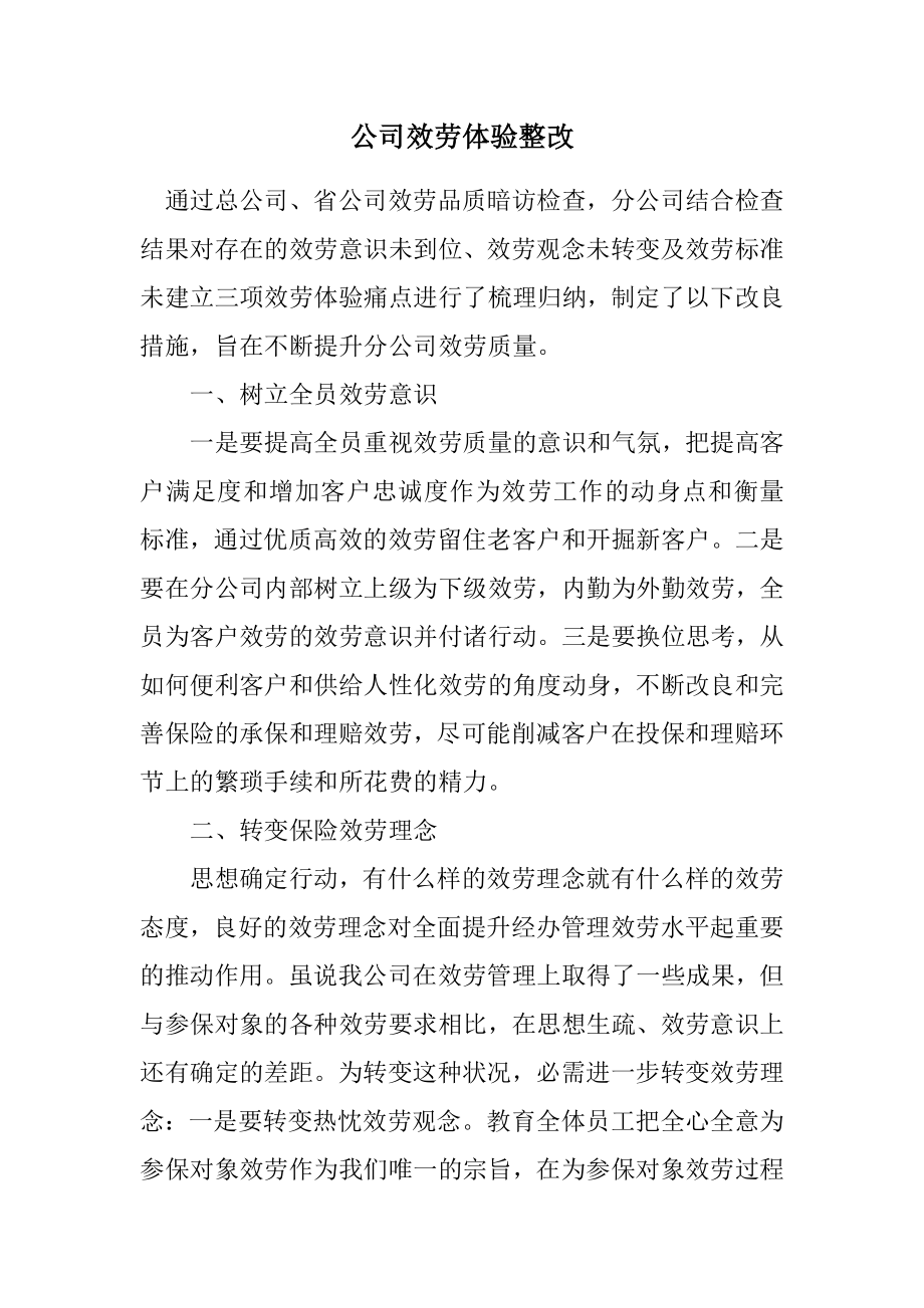 2023年公司服务体验整改计划.docx_第1页