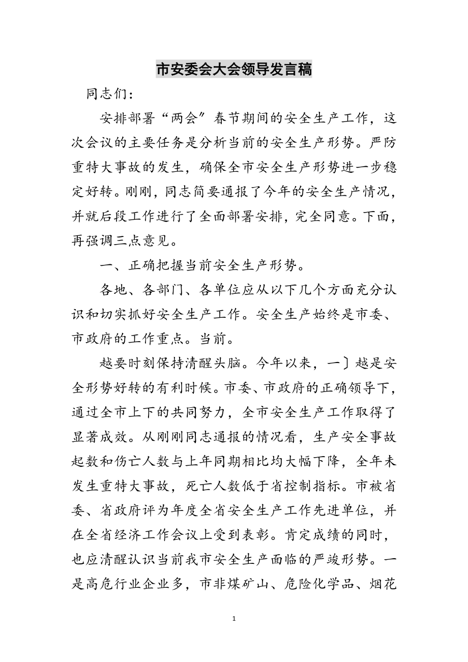 2023年市安委会大会领导发言稿范文.doc_第1页