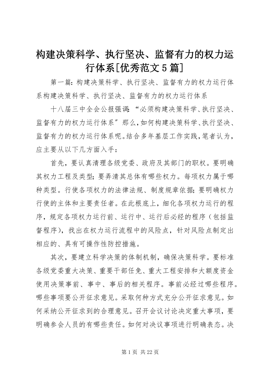 2023年构建决策科学、执行坚决、监督有力的权力运行体系[优秀5篇].docx_第1页