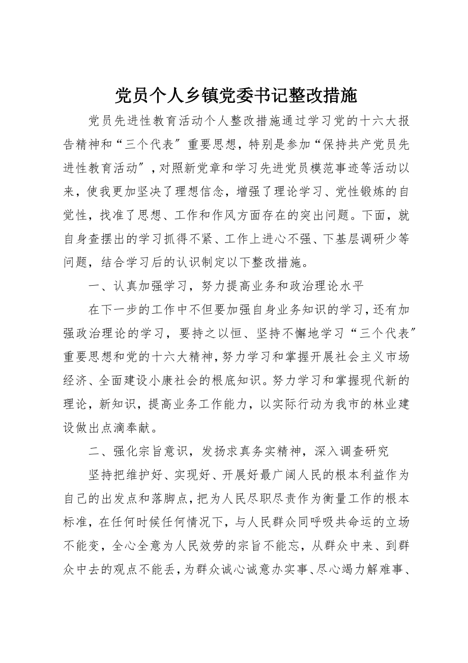 2023年党员个人乡镇党委书记整改措施.docx_第1页