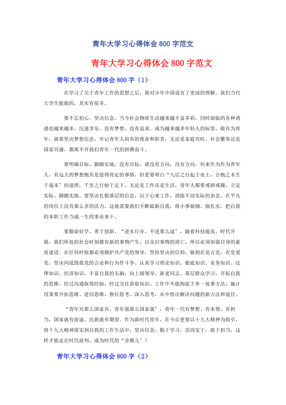 2023年青年大学习心得体会800字范文.docx_第1页