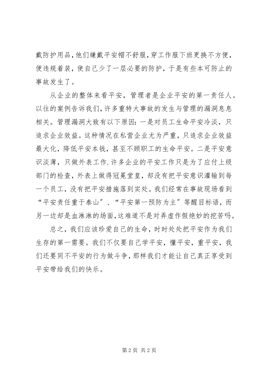 2023年把安全当作一种基本需求新编.docx_第2页