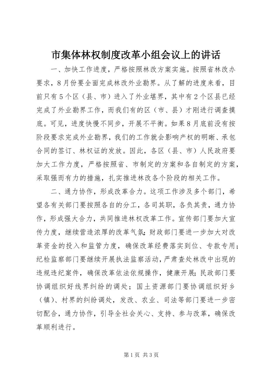 2023年市集体林权制度改革小组会议上的致辞.docx_第1页