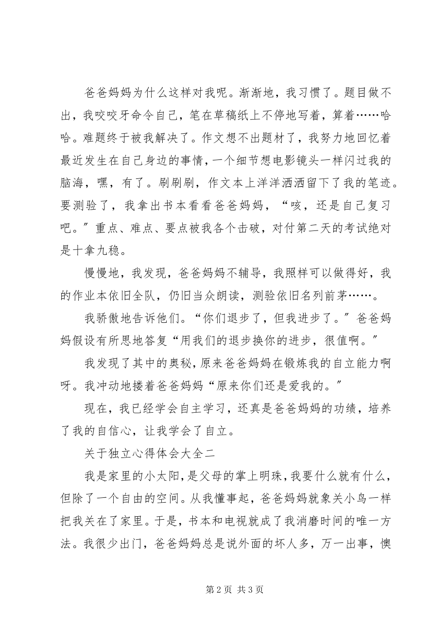 2023年独立心得体会多篇.docx_第2页