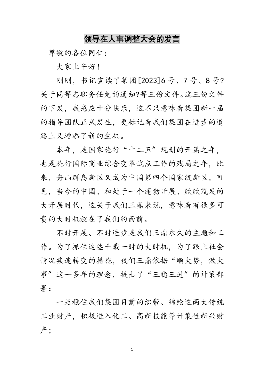 2023年领导在人事调整大会的发言范文.doc_第1页