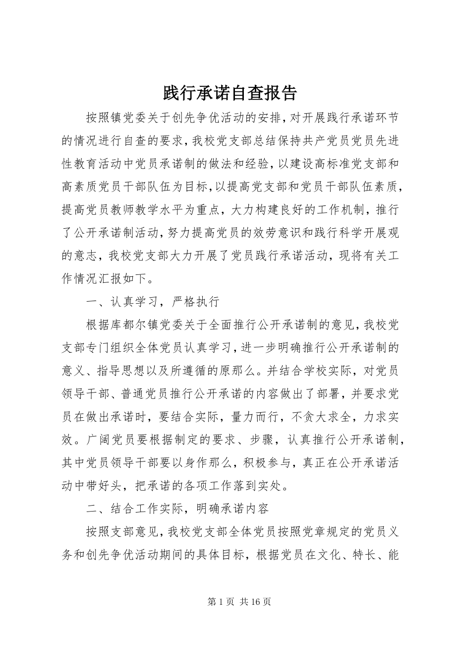 2023年践行承诺自查报告.docx_第1页