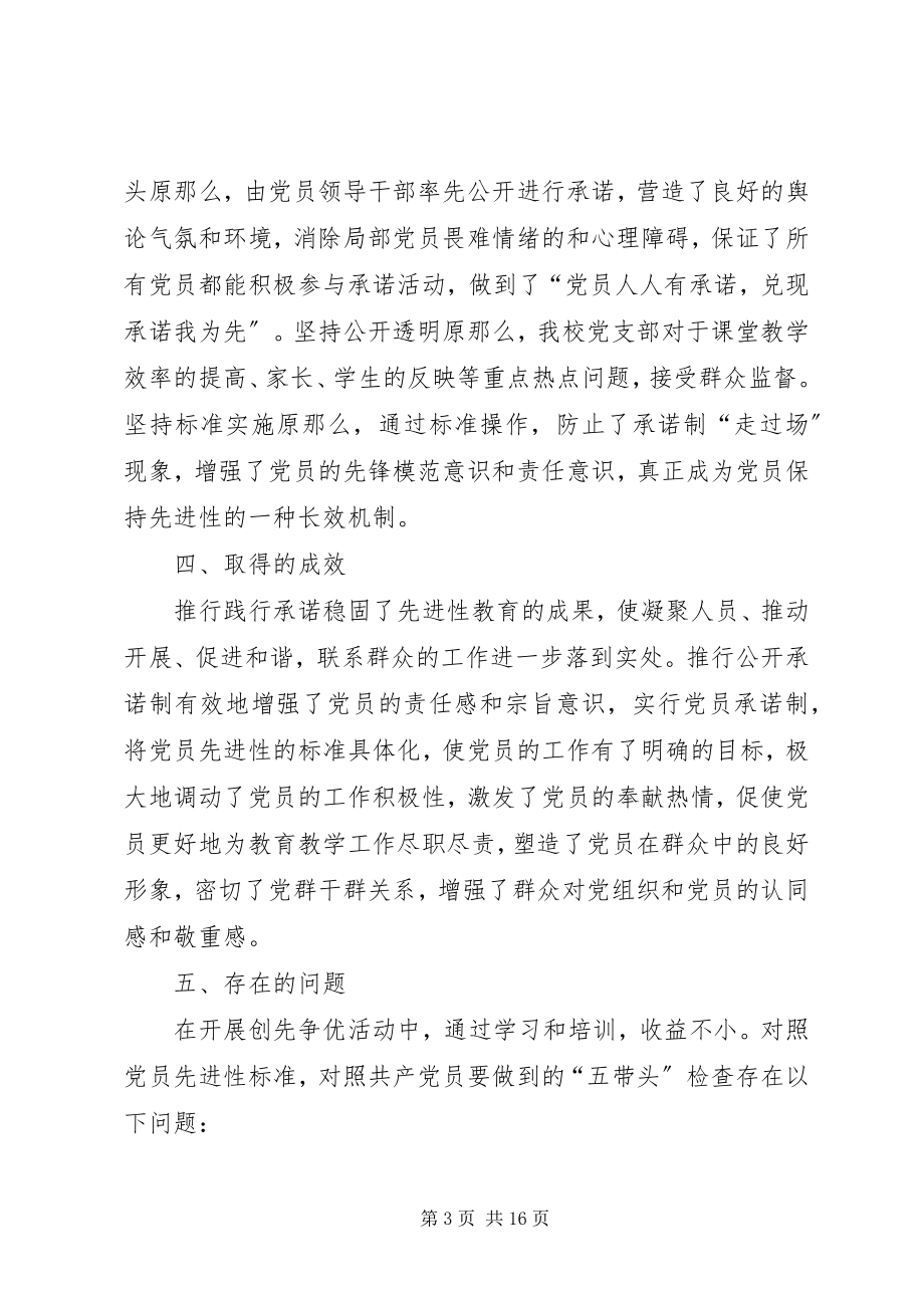 2023年践行承诺自查报告.docx_第3页