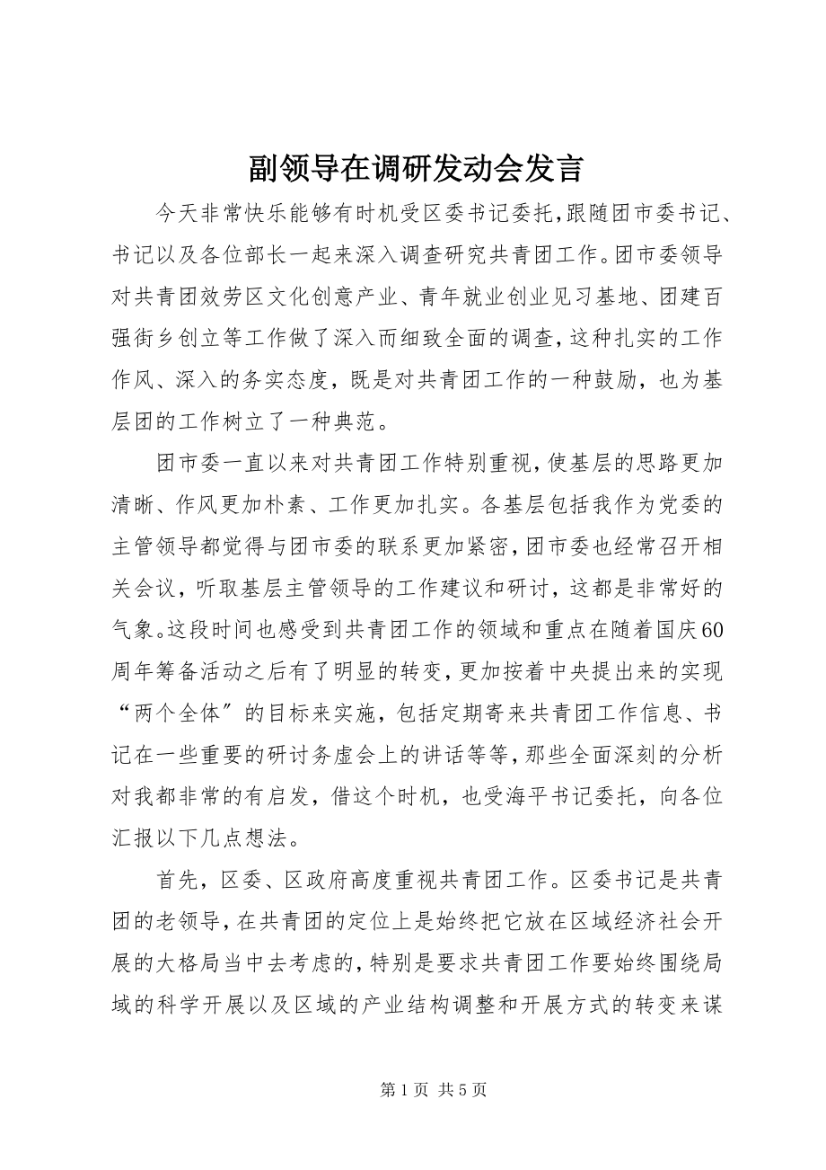 2023年副领导在调研动员会讲话.docx_第1页