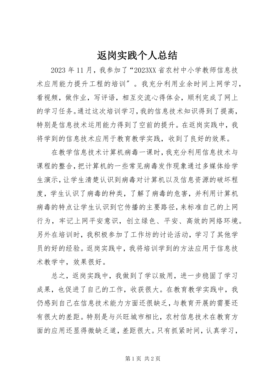 2023年返岗实践个人总结.docx_第1页