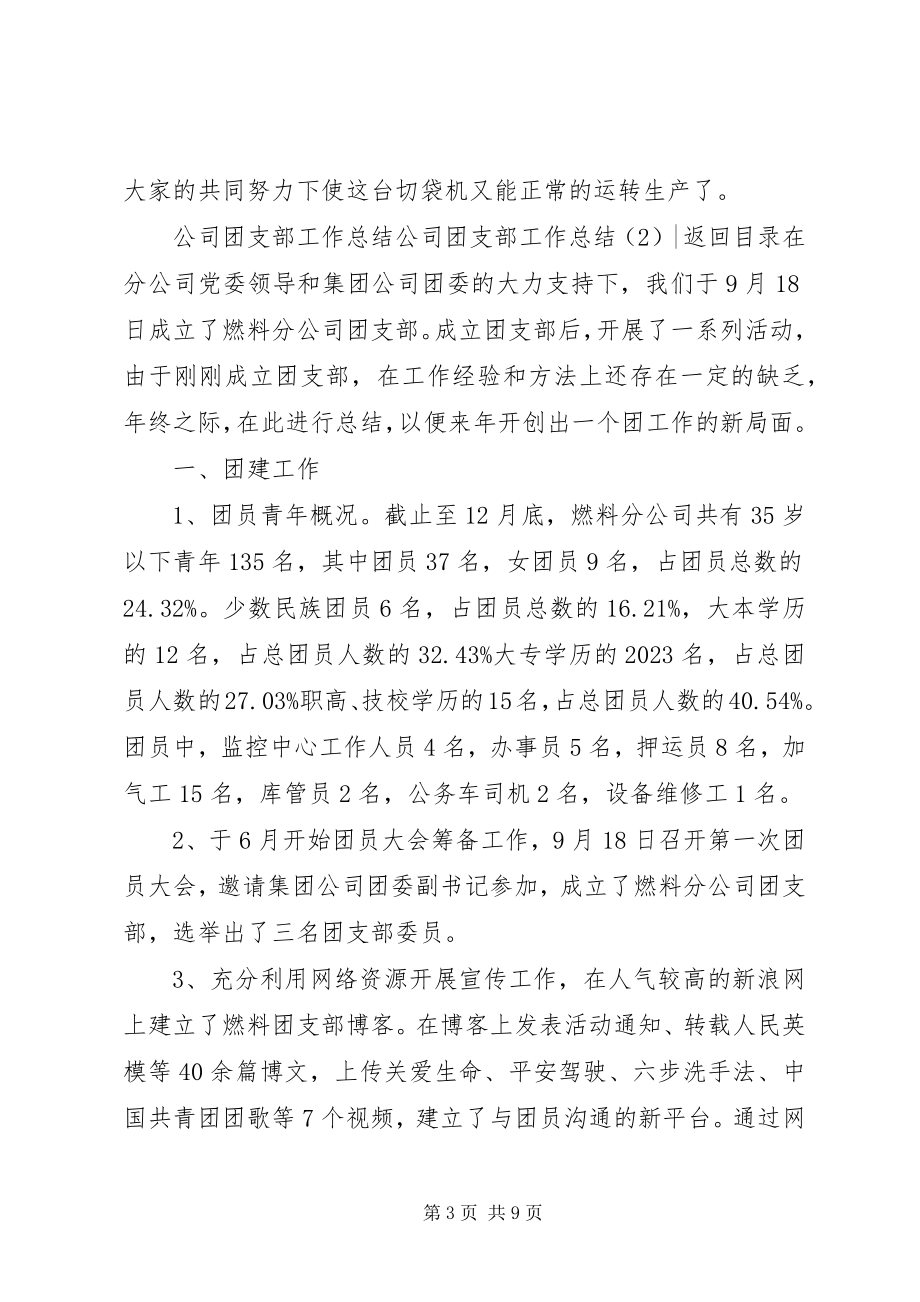 2023年公司团支部工作总结3篇.docx_第3页