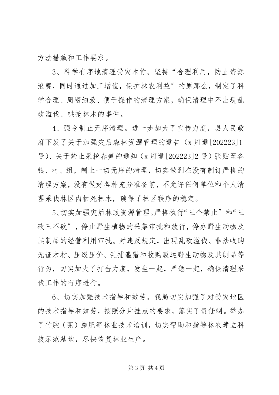 2023年林业局工作总结会议致辞.docx_第3页