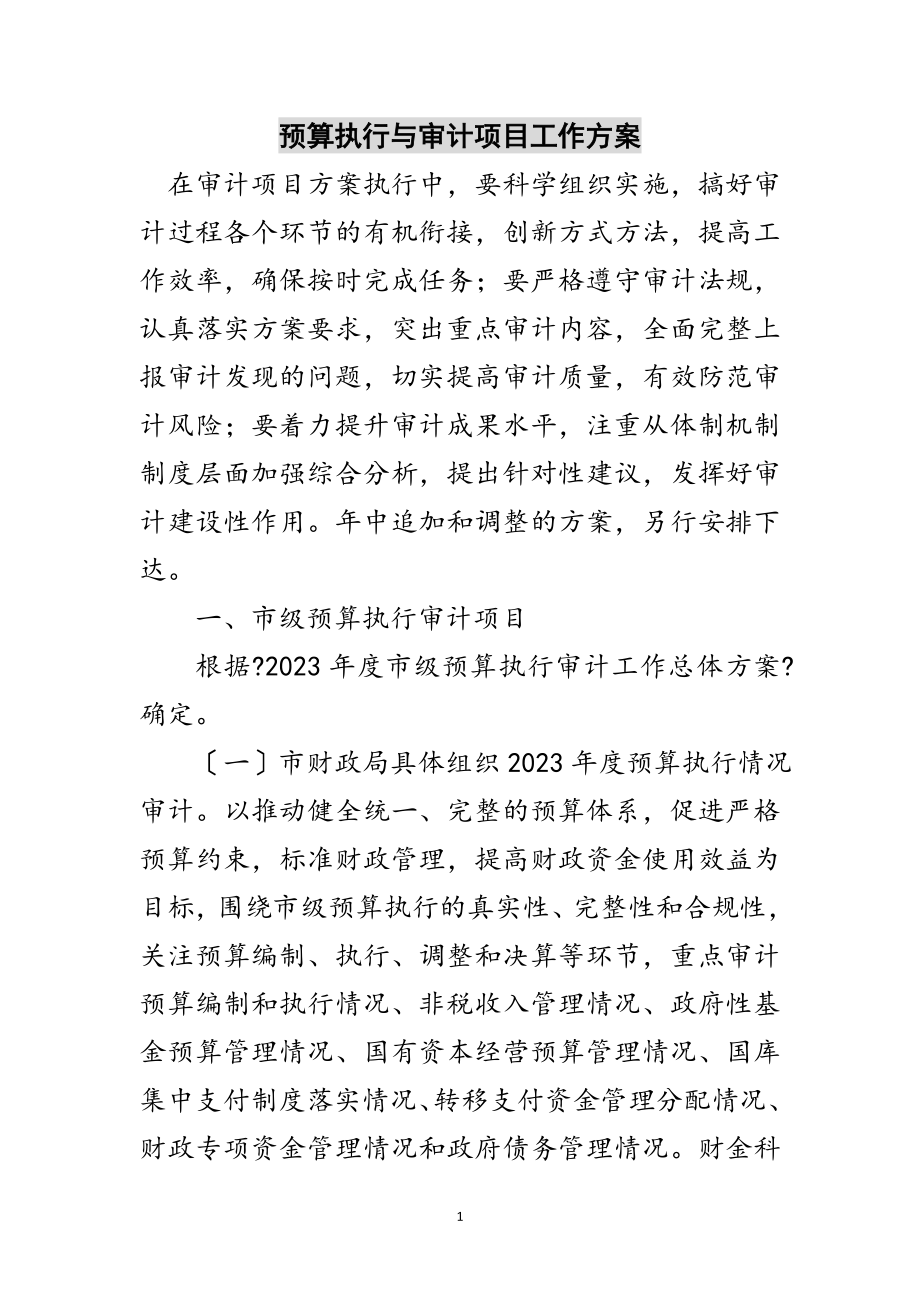 2023年预算执行与审计项目工作计划范文.doc_第1页