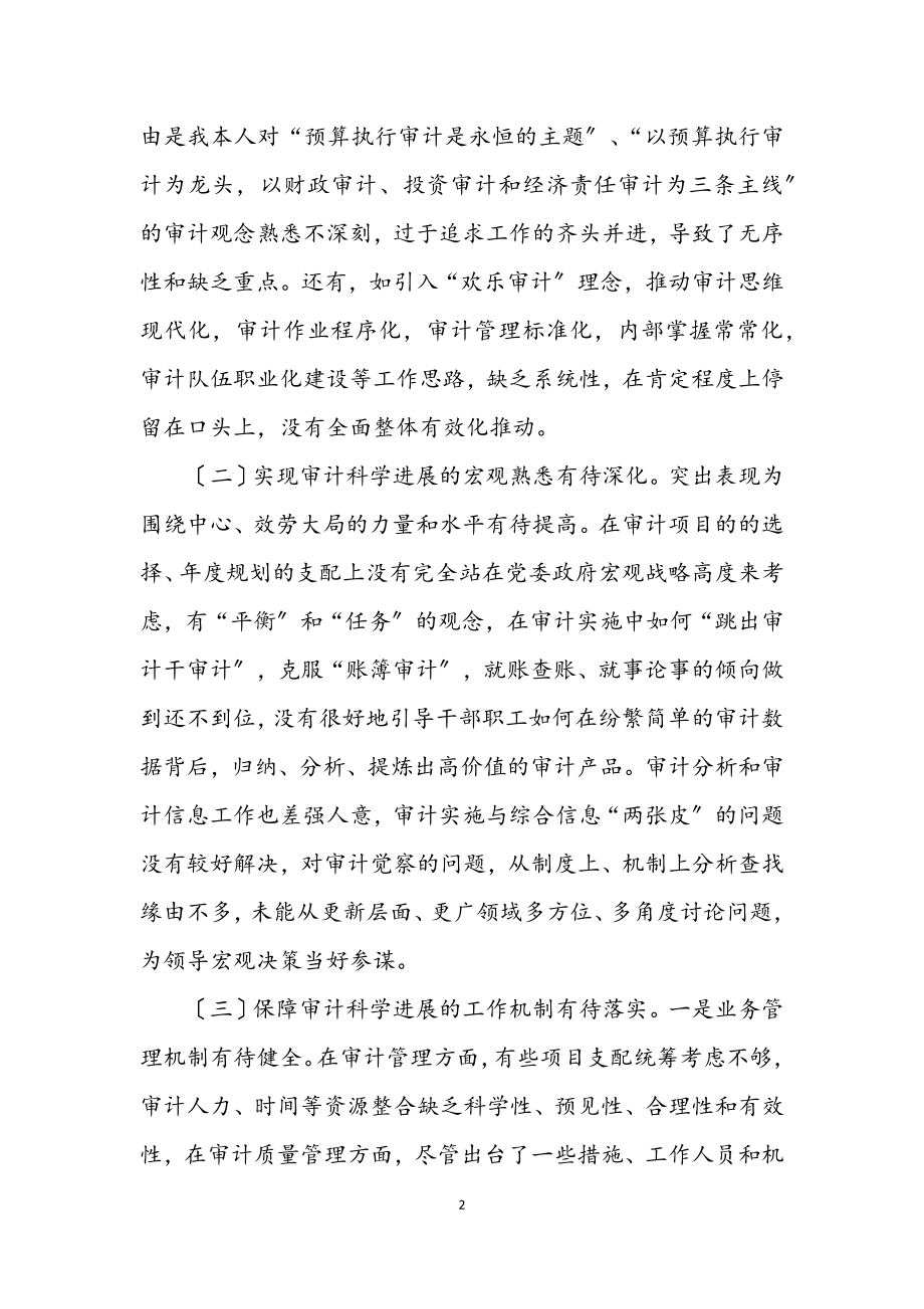 2023年审计局学习实践科学发展观个人剖析材料.docx_第2页