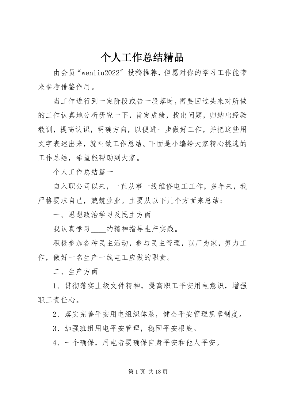 2023年个人工作总结精品.docx_第1页