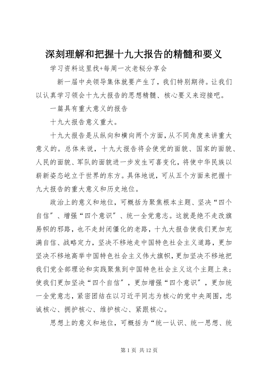 2023年深刻理解和把握十九大报告的精髓和要义.docx_第1页