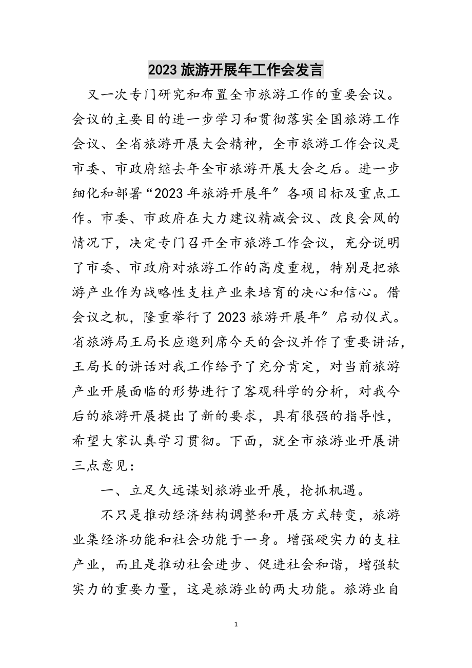 2023年旅游发展年工作会发言范文.doc_第1页