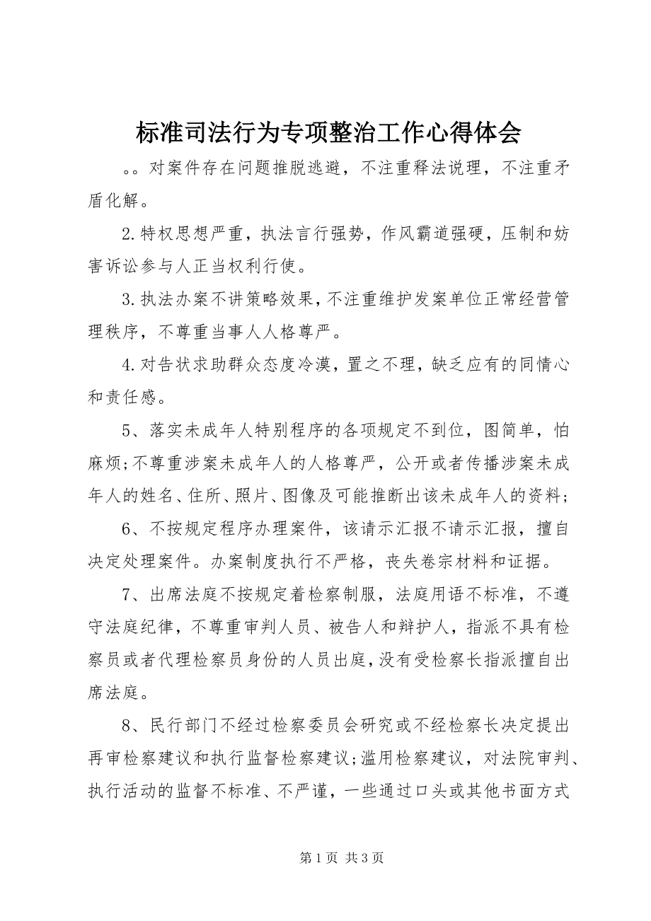 2023年规范司法行为专项整治工作心得体会.docx_第1页