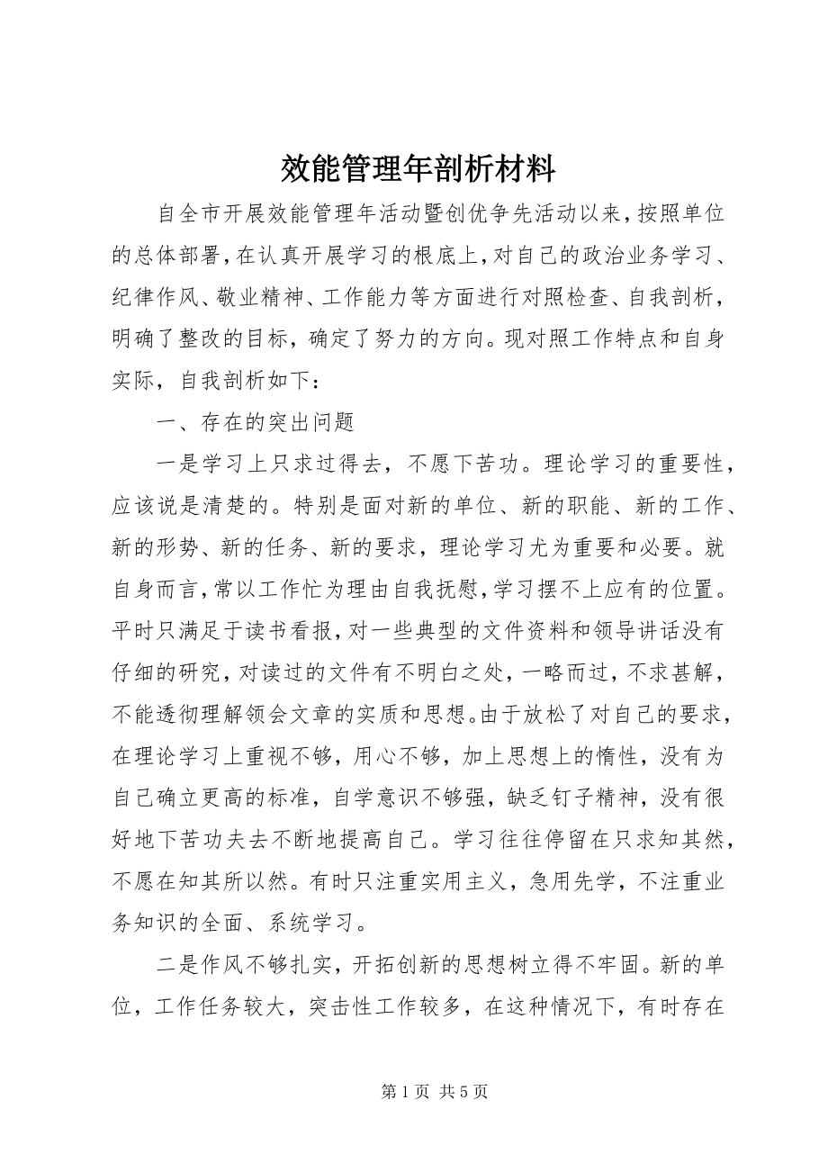 2023年效能管理年剖析材料.docx_第1页