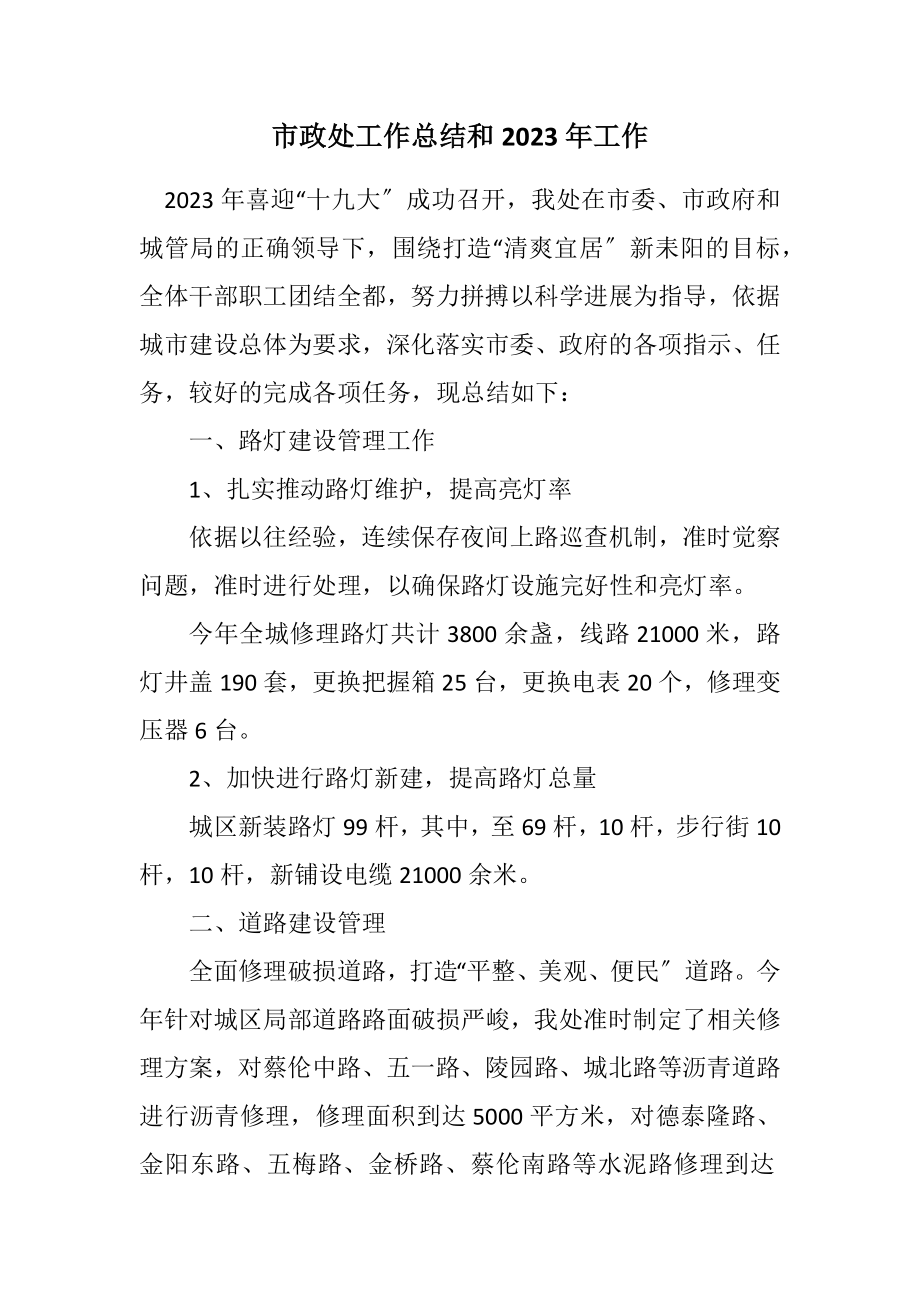 2023年市政处工作总结和2023年工作计划.docx_第1页