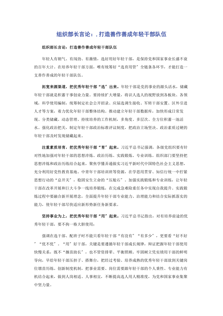 2023年组织部长言论打造善作善成年轻干部队伍.docx_第1页