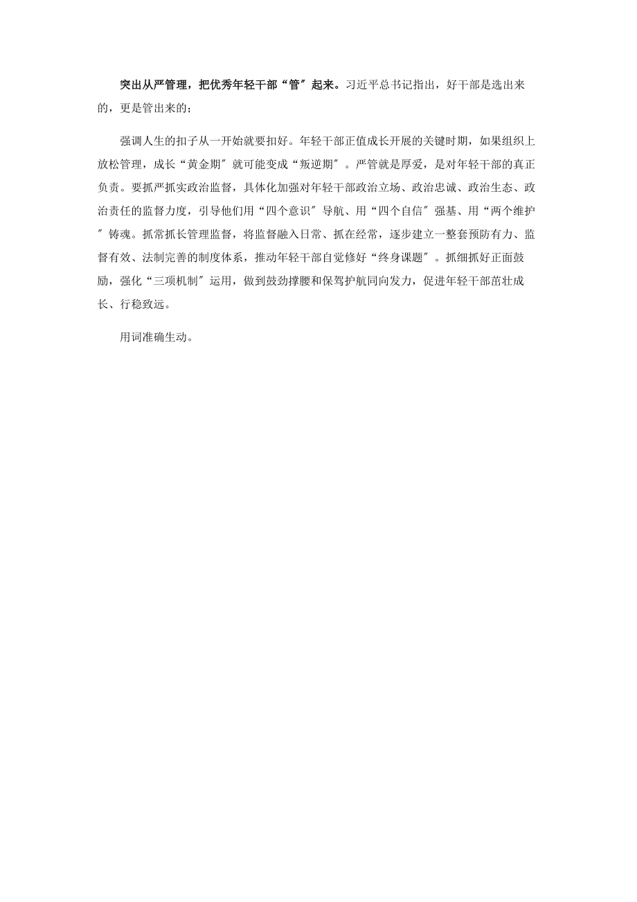 2023年组织部长言论打造善作善成年轻干部队伍.docx_第2页