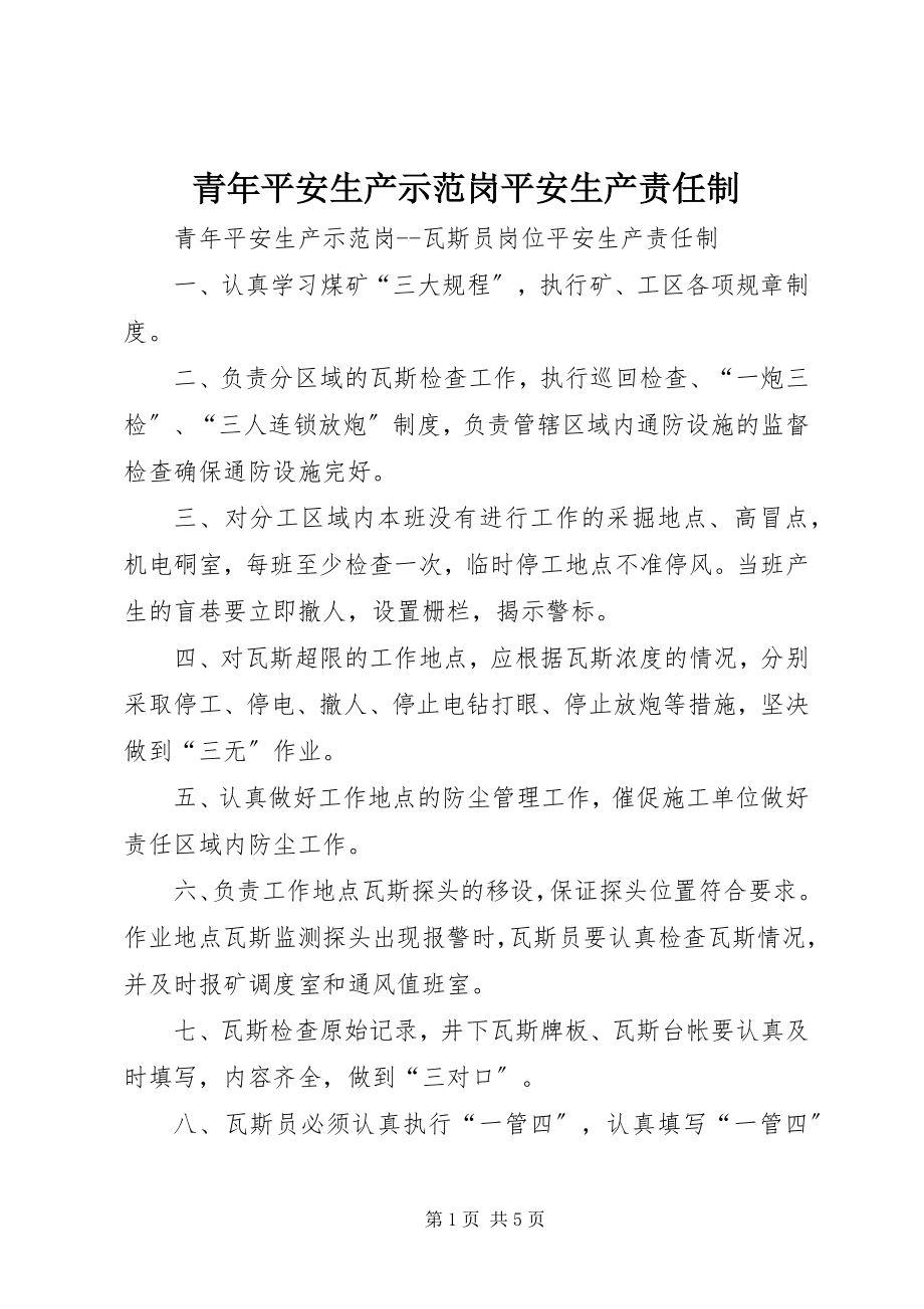 2023年青年安全生产示范岗安全生产责任制.docx_第1页