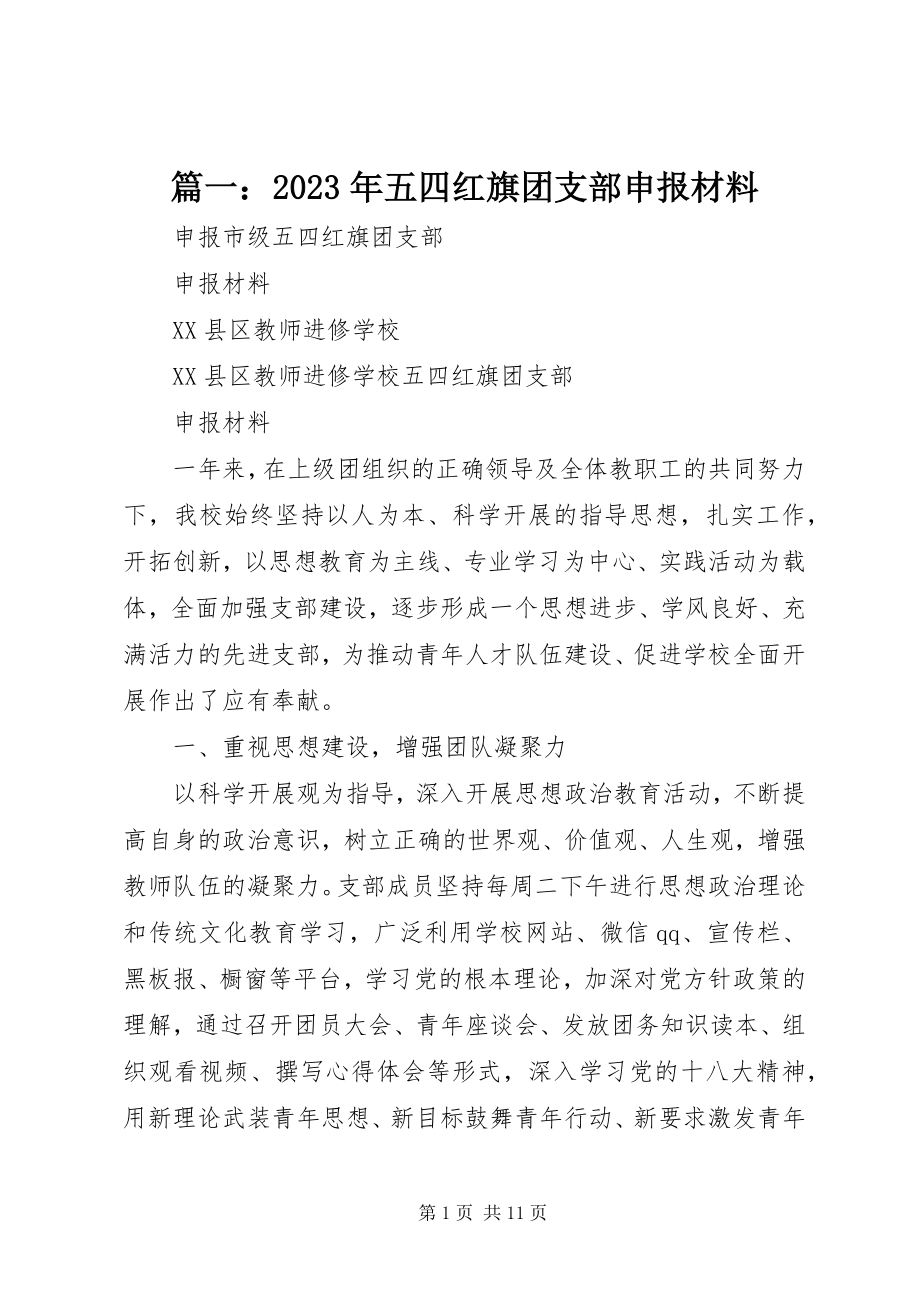 2023年五四红旗团支部申报材料2.docx_第1页