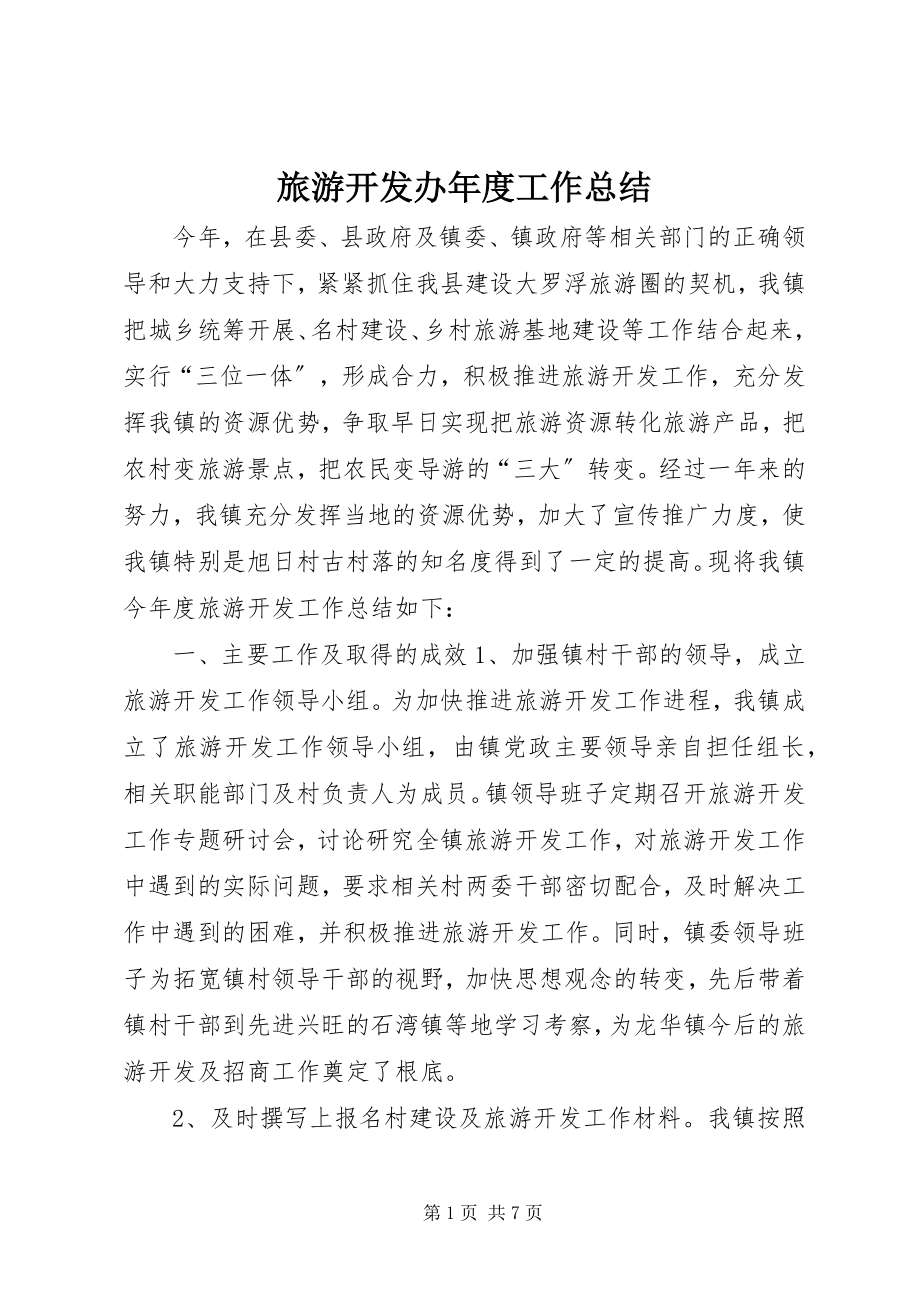 2023年旅游开发办度工作总结.docx_第1页