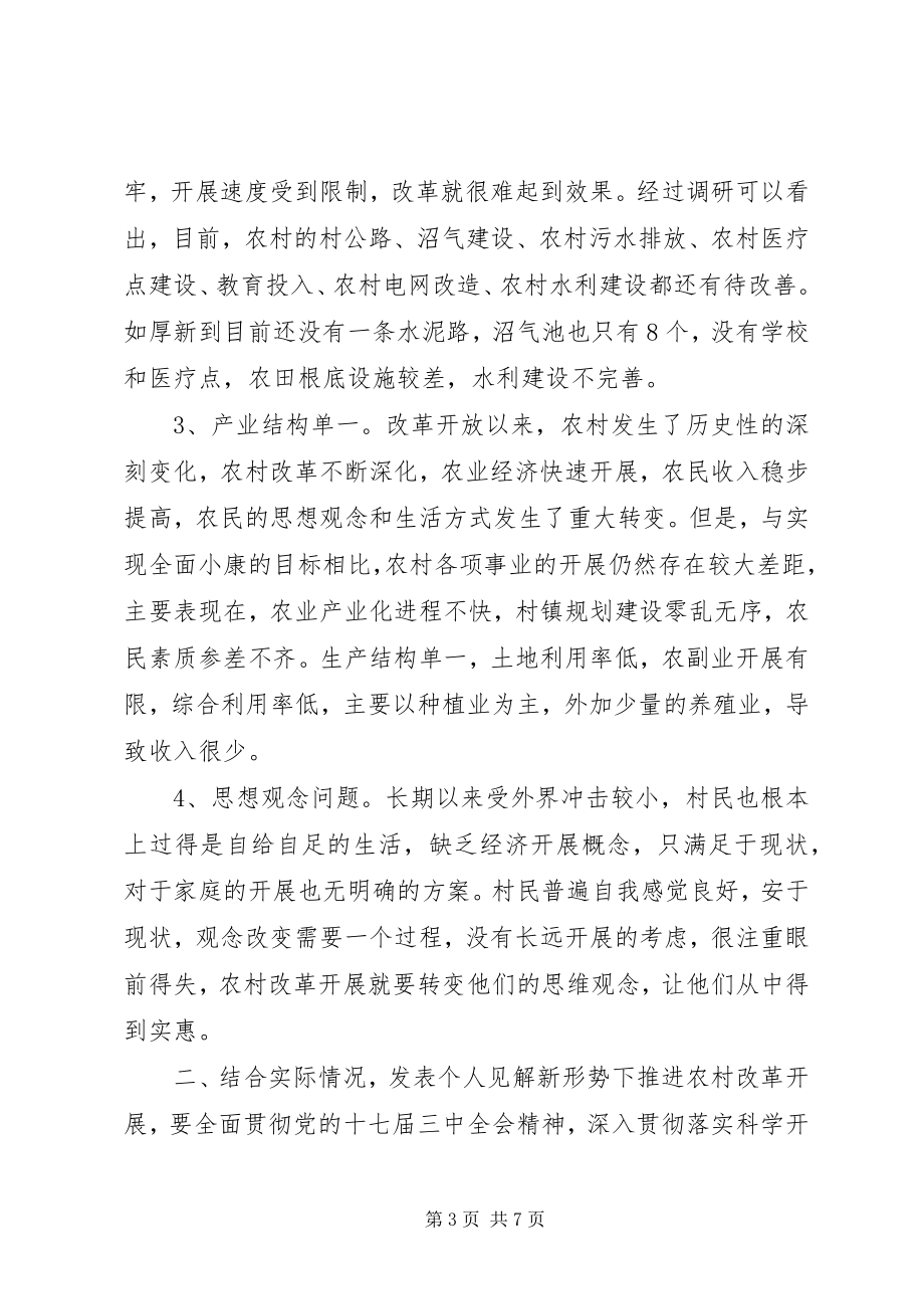 2023年学习贯彻十七届三中全会精神调研报告.docx_第3页