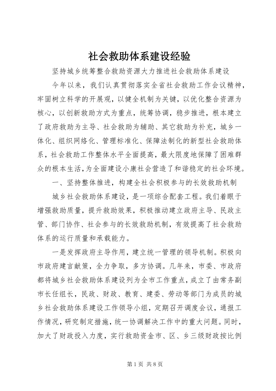 2023年社会救助体系建设经验.docx_第1页